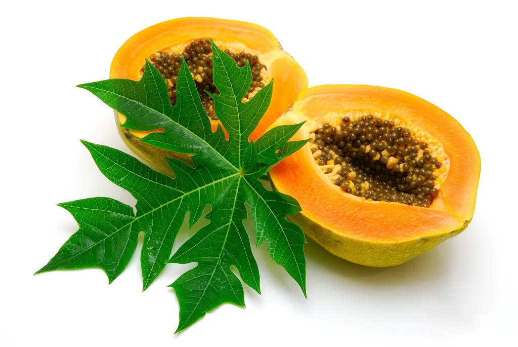 Benefits of Papaya (Fruits, Seeds And Leaf)